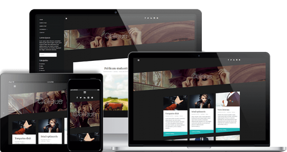 themeIsle-oblique-wordpress-theme